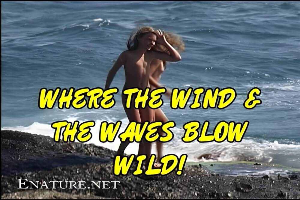 Enature - Where the Wind and the Waves Blow Wild!